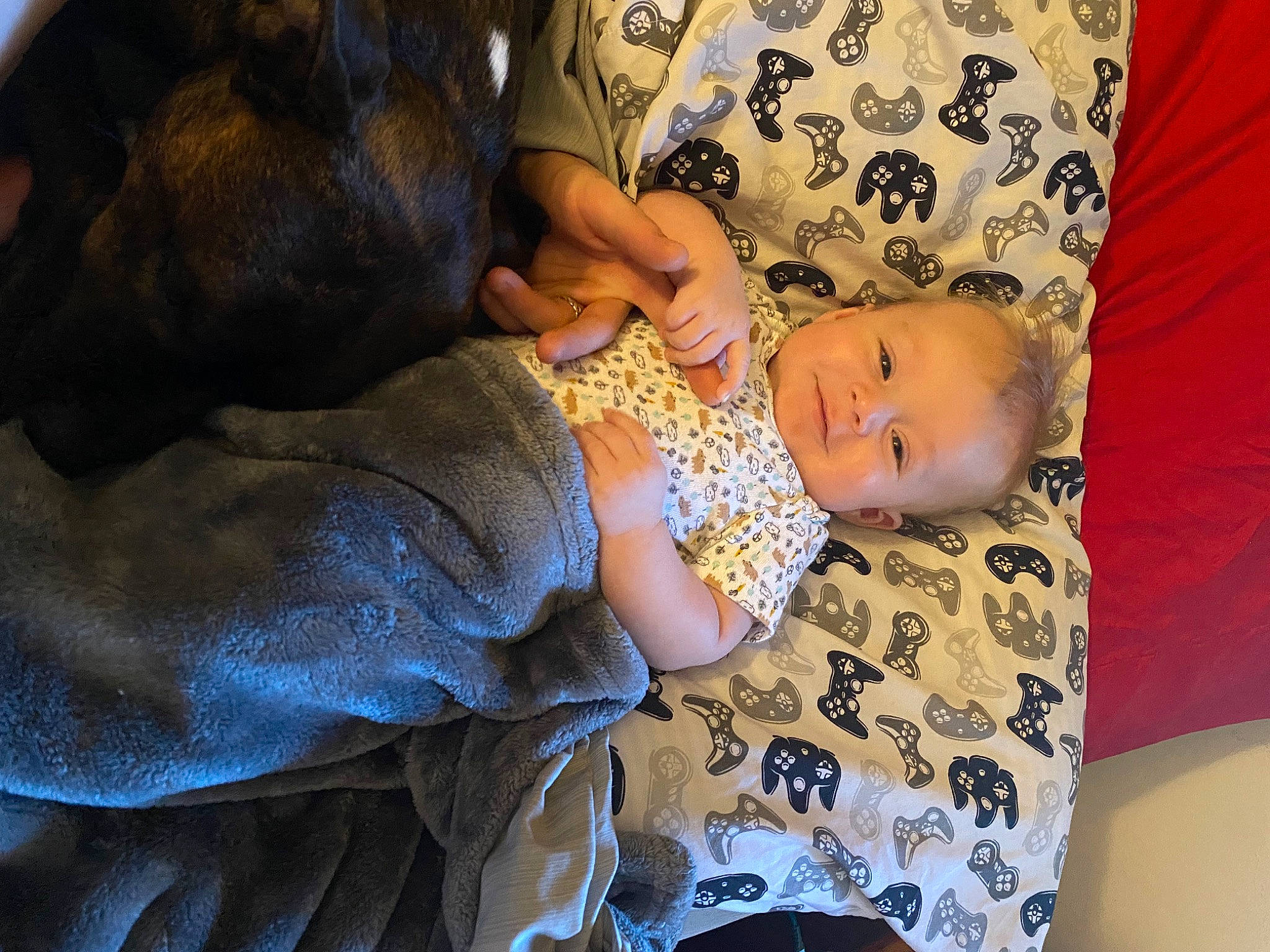 Damon Rogue is registered to the contest to win money with this photo: arm, baby, baby_toddler_clothing, child, comfort, couch, finger, hand, happy, human_body, iris, linens, pattern, person, purple, skin, sleeve, smile, t_shirt, thigh