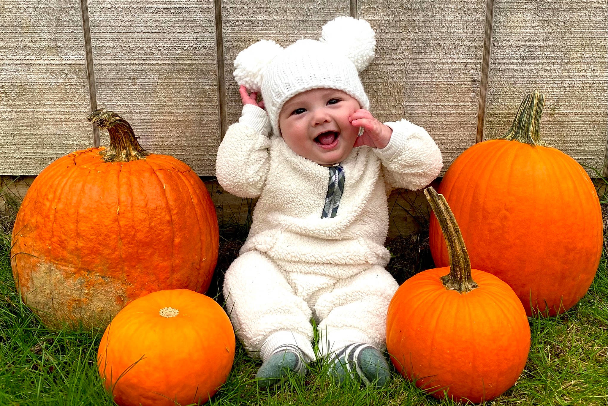 Tidus joined the competition — help win amazing prizes! _and_melon_family, _gourd, calabaza, child, cucumber, cucurbita, food, fruit, gourd, happy, headwear, local_food, natural_foods, orange, person, plant, produce, pumpkin, smile, squash