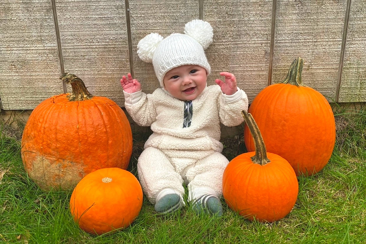 Tidus is registered to the contest to win money with this photo: _and_melon_family, _gourd, calabaza, child, cucumber, cucurbita, food, fruit, gourd, headwear, joy, local_food, orange, person, plant, produce, pumpkin, squash, toddler, vegetable