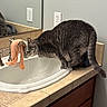 animal, bathroom, cat, countertop, curious, domestic, drinking, faucet, fur, gray_tabby, household, indoor, mirror, pet, reflection, sink, tile, towel, water, whiskers