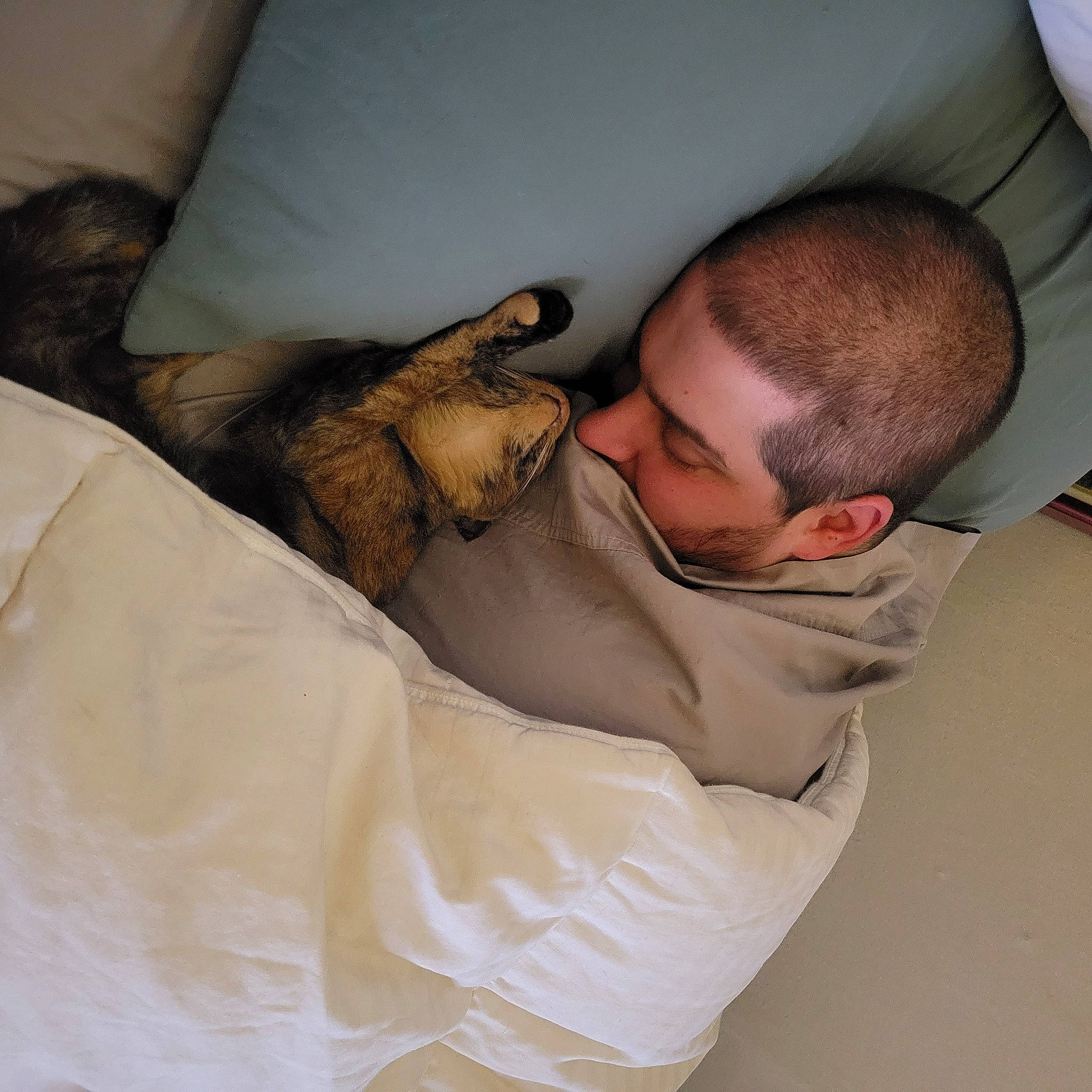 Hailey joined the competition — help win amazing prizes! abdomen, beard, bed, bedding, child, comfort, elbow, eyewear, facial_hair, felidae, fur, health_care, linens, mammal, nap, patient, room, service, sunglasses, vertebrate