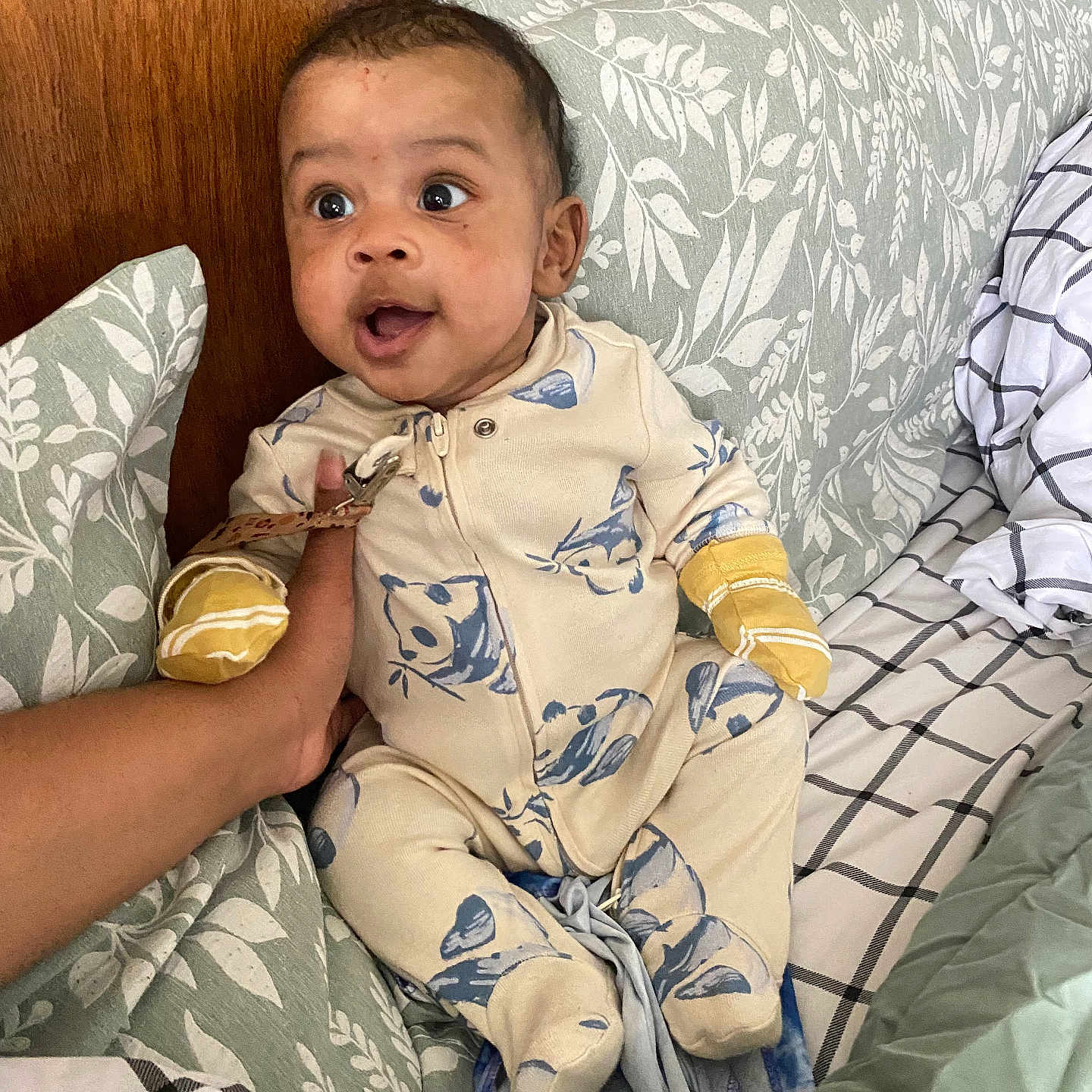 Devin joined the competition — help win amazing prizes! baby, babylaughing, bed, blanket, bodypart, clothing, couch, cushion, face, furniture, glove, happy, head, homedecor, person, photography, portrait, quilt, sitting, smile