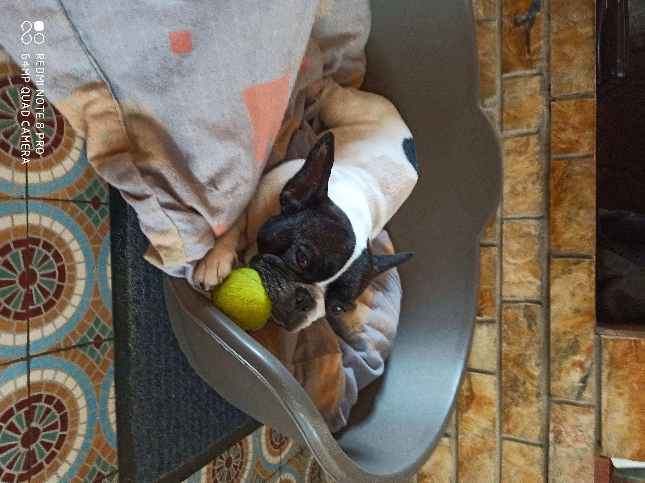 Yochi participe au concours pour gagner de l'argent avec cette photo : bag, ball, button, circle, collar, dress_shirt, fashion_accessory, flooring, glove, linens, military_uniform, pattern, recreation, room, sleeve, t_shirt, textile, uniform, visual_arts, wood