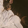 animal, blanket, comfort, cozy, cute, dark_background, dog, domestic_animal, ears, face, fur, indoor, pet, relaxed, resting, sleepy, small_dog, snuggled, soft_lighting, warm