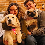 Lulu a rejoint le concours — aidez-le/la à gagner de superbes lots ! person, dog, cat, smiling, glasses, curly_hair, golden_retriever, fluffy, indoor, couch, brick_wall, star_decorations, pet, happy, seated, casual_clothing, collar, warm_lighting, friendship, cozy