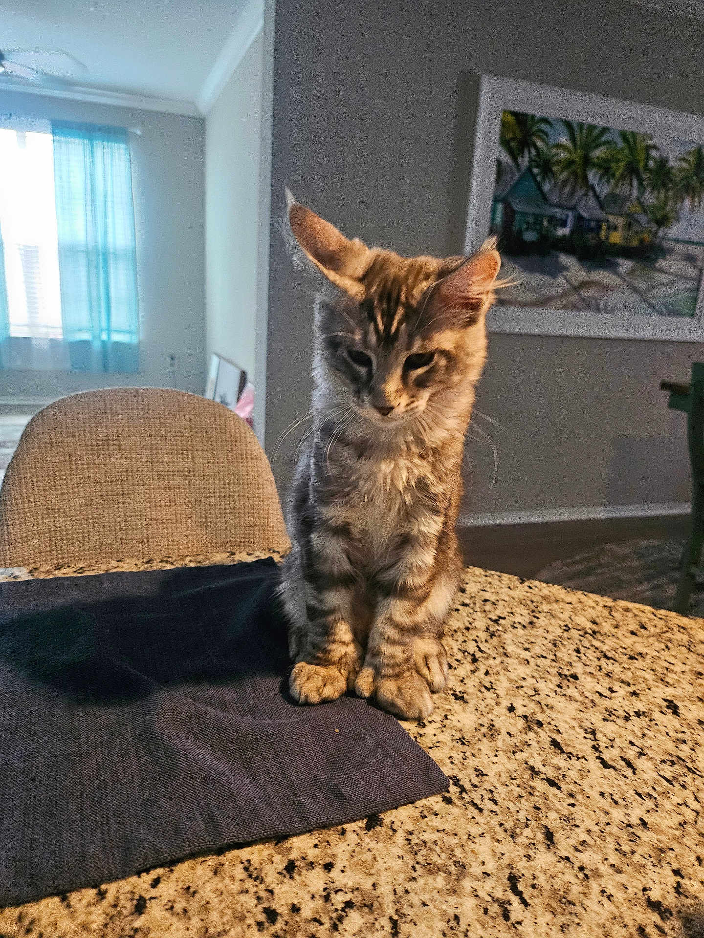 Louie