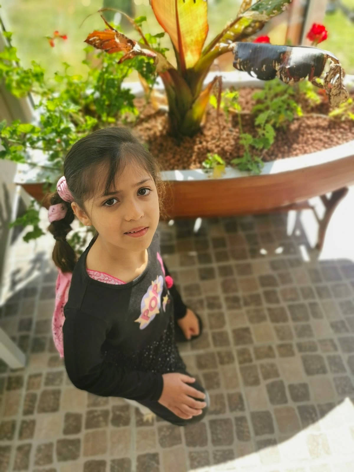 Andréa participe au concours pour gagner de l'argent avec cette photo : botany, child, design, flooring, flower, flowerpot, fun, garden, grass, happy, joy, landscape, leaf, leisure, person, plant, shrub, soil, spring, terrestrial_plant