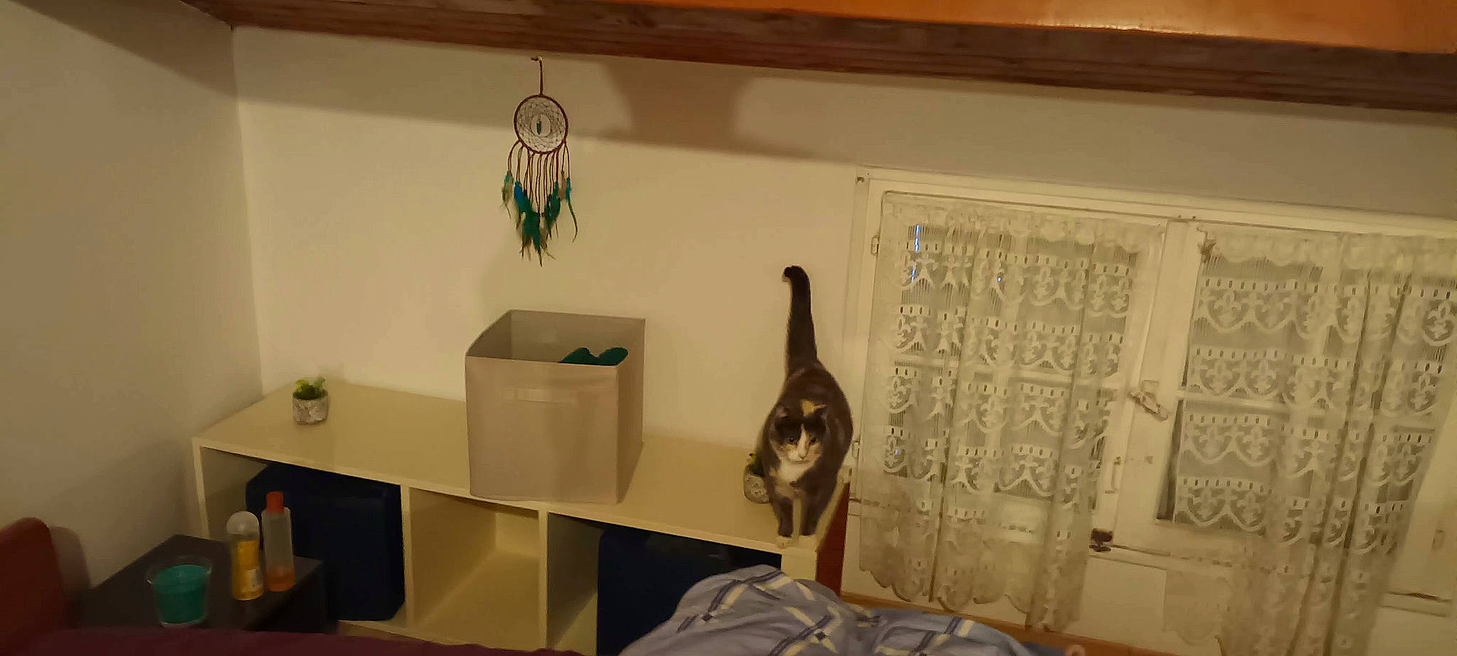 Bella a rejoint le concours — aidez-le/la à gagner de superbes lots ! art, building, ceiling, comfort, floor, flooring, hardwood, house, linens, musical_instrument, plaster, room, shelving, sporting_group, tile, tourist_attraction, visual_arts, wall, wood, wood_flooring