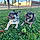 Nala And Diesel