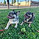 Nala And Diesel