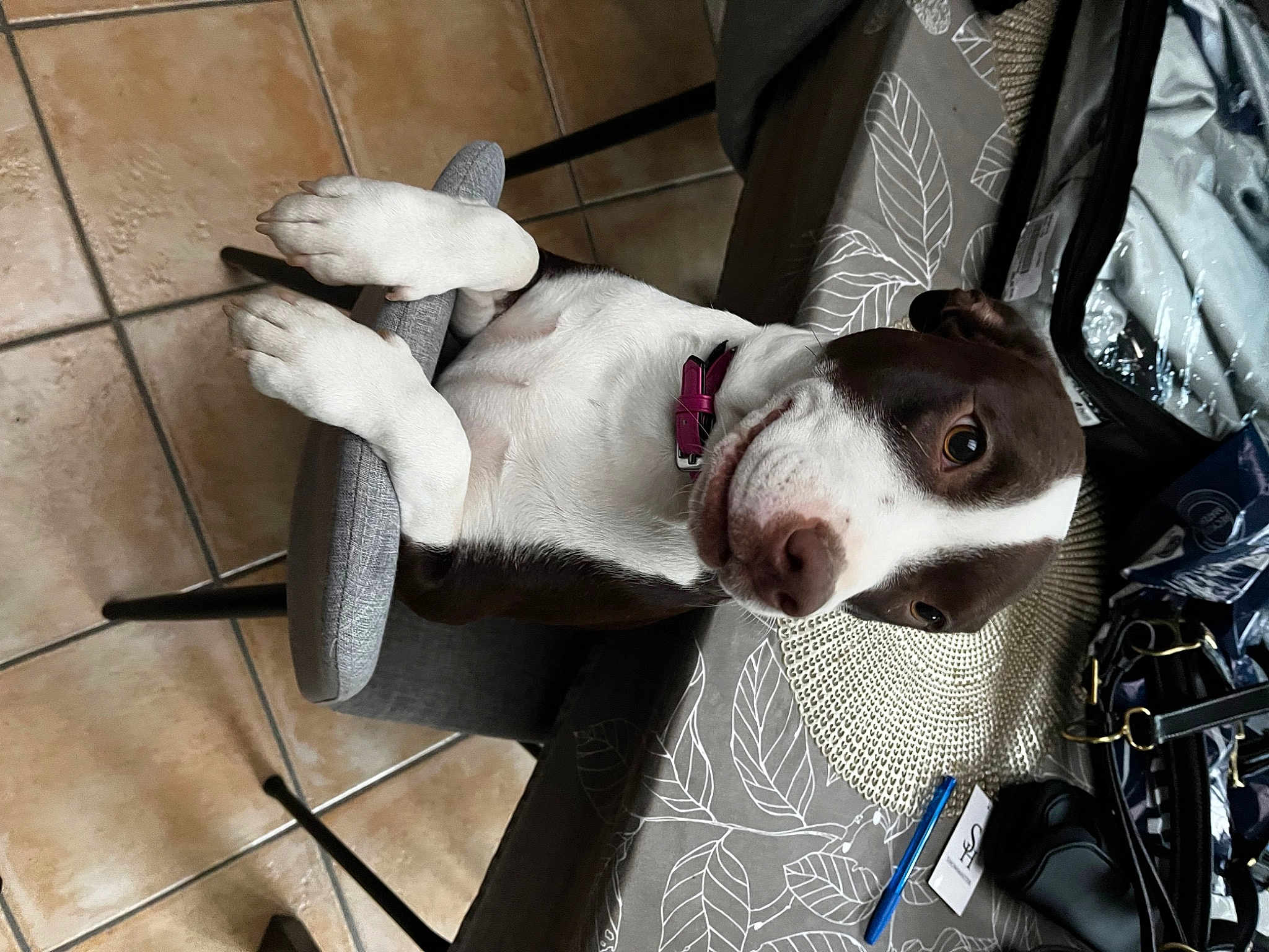 Maya