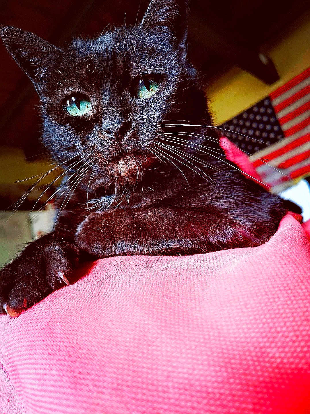 Blacky