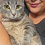 Isis is registered to the contest to win money with this photo: arm, cat, closeup, companion, cute, domestic_animal, face, fur, gray_tabby, happy, holding, indoor, looking, person, pet, portrait, resting, smile, whiskers, yellow_eyes