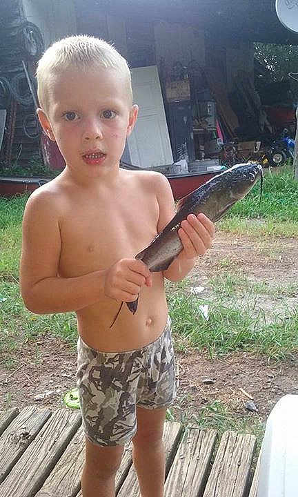Bryden