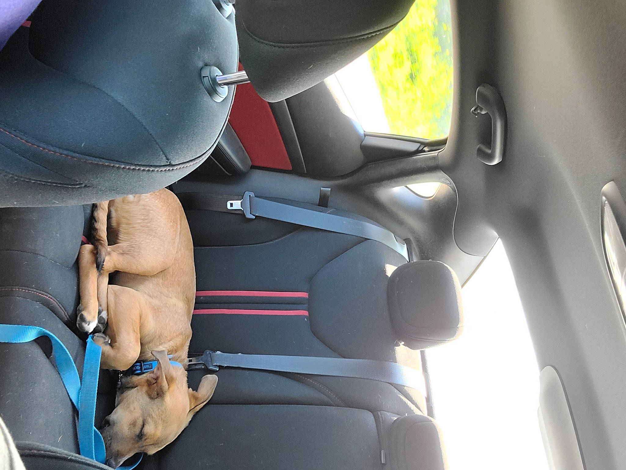 Tanner is registered to the contest to win money with this photo: auto_part, automotive_design, automotive_exterior, car, car_seat, car_seat_cover, comfort, family_car, fixture, head_restraint, luxury_vehicle, mode_of_transport, motor_vehicle, personal_luxury_car, plant, seat_belt, steering_part, vehicle, vehicle_door, window