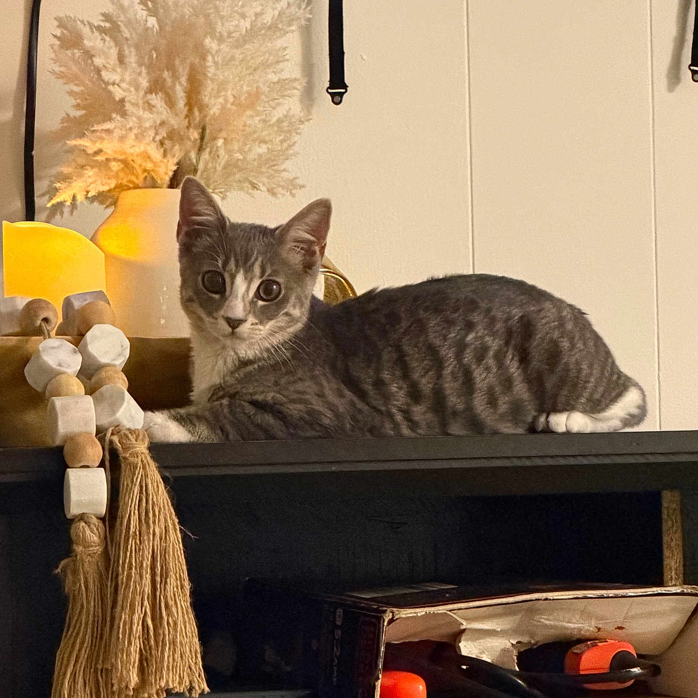 Posie