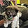 Loki