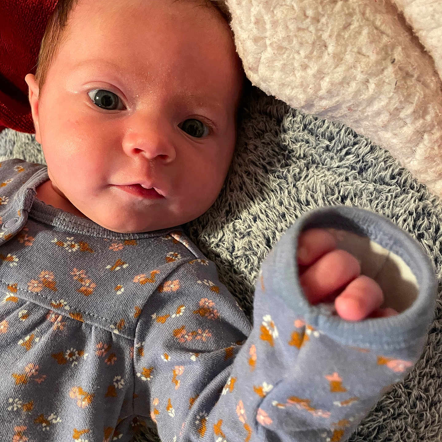 Willow joined the competition — help win amazing prizes! baby, blanket, bodypart, clothing, face, finger, hand, happy, head, hosiery, knitwear, newborn, person, photography, portrait, quilt, smile, sock, sweater, towel