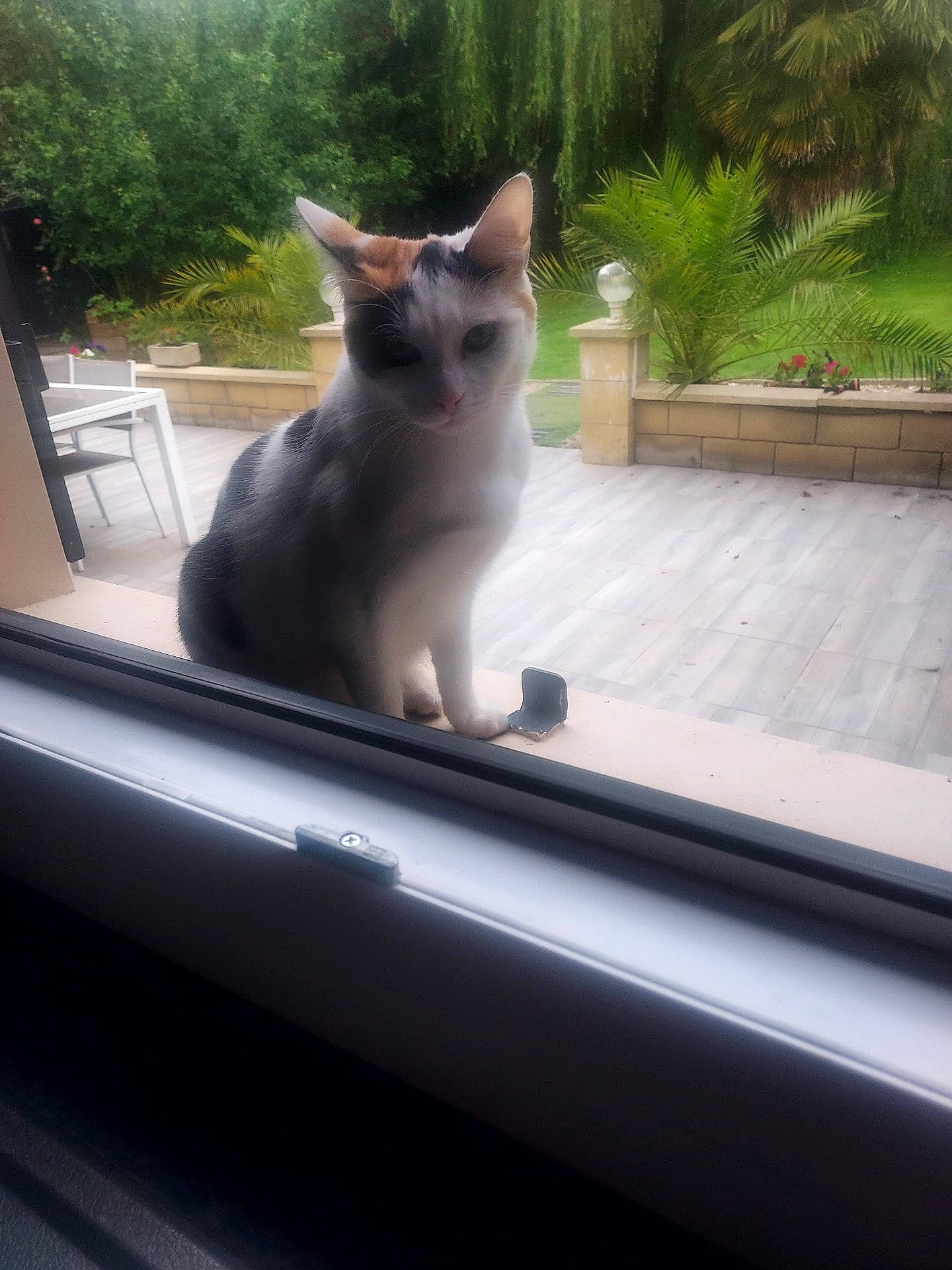 Ma Belle