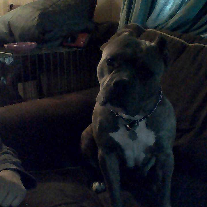 Nani is registered to the contest to win money with this photo: