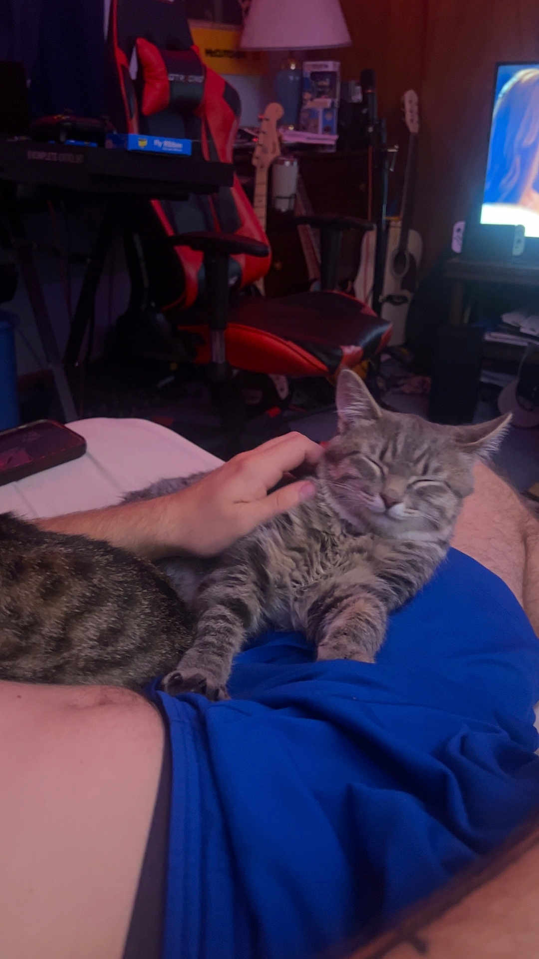 Frito joined the competition — help win amazing prizes! cat, tabby_cat, person, hand, lap, blue_shorts, gaming_chair, guitar, tv_screen, living_room, furniture, relaxation, pet, indoor, comfort, technology, electronics, casual, hobby, leisure