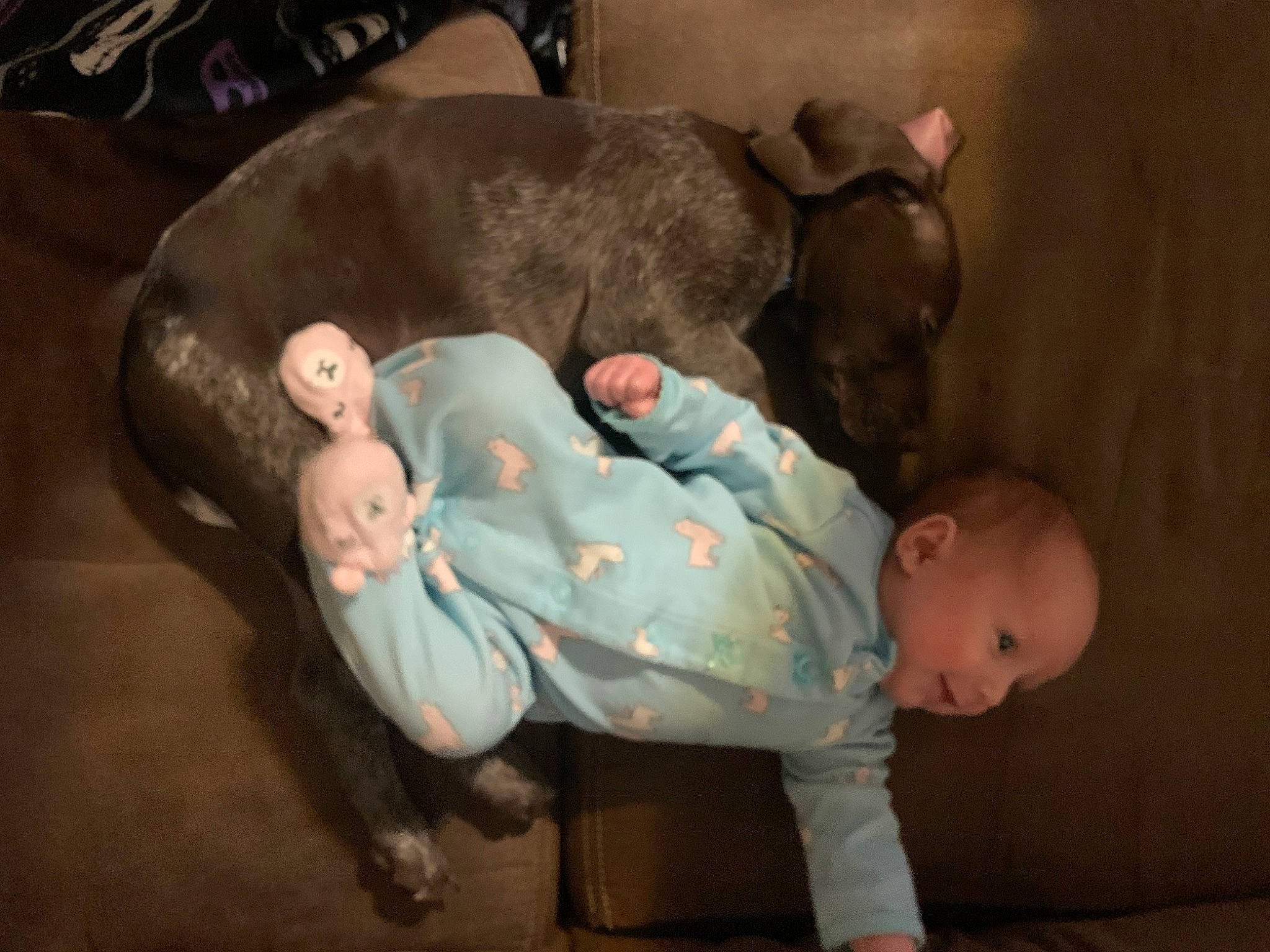 Addisyn is registered to the contest to win money with this photo: baby, baby_products, baby_toddler_clothing, baby_toys, bedtime, cheek, child, comfort, darkness, flash_photography, fun, head, mouth, nap, person, room, sitting, skin, sock, toddler