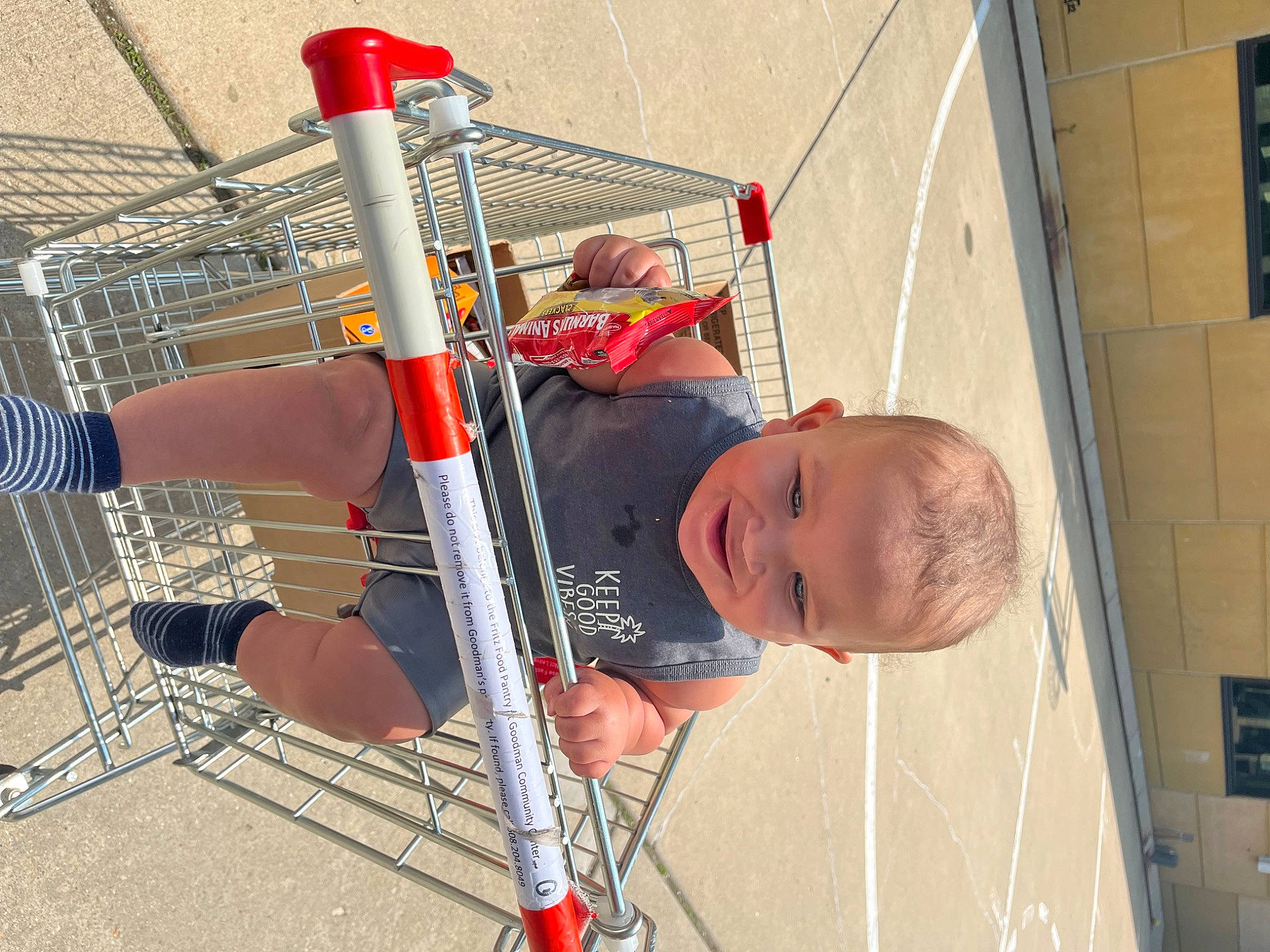 Jamal is registered to the contest to win money with this photo: balance, building, chest, child, elbow, electrical_supply, engineering, fun, human_leg, knee, leisure, net, person, rope, shorts, t_shirt, thigh, toddler, wire