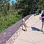 Lita Lou Harris joined the competition — help win amazing prizes! woman, dog, leash, stone_wall, sidewalk, trees, greenery, outdoor, sunny, shorts, tshirt, shoes, smiling, pet, nature, shadow, walking, happy, casual, daytime