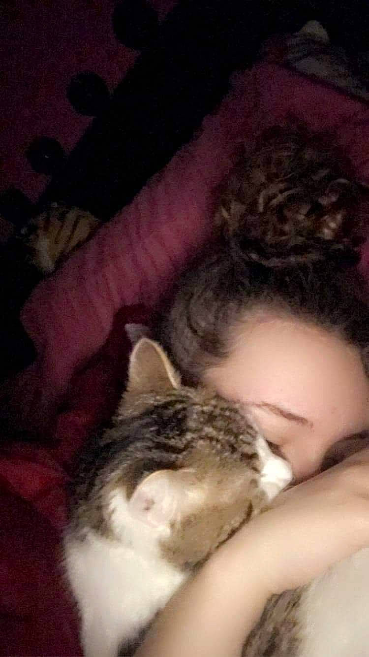 Tchoupi participe au concours pour gagner de l'argent avec cette photo : carnivore, cat, comfort, domestic_short_haired_cat, ear, felidae, flesh, fun, fur, gesture, hug, lap, love, nail, nap, nose, paw, small_to_medium_sized_cats, whiskers