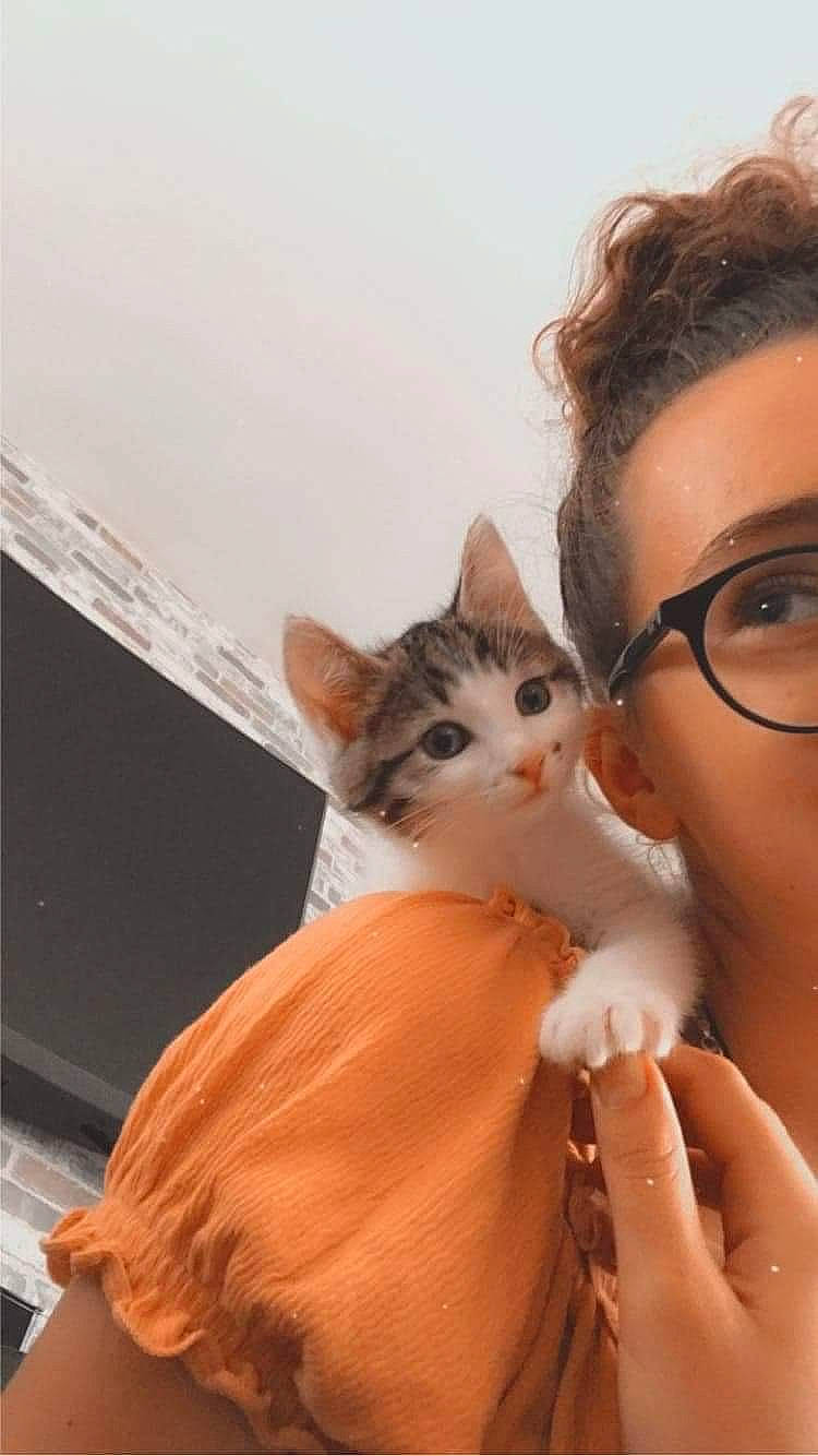 Tchoupi a rejoint le concours — aidez-le/la à gagner de superbes lots ! brown_hair, carnivore, cat, comfort, domestic_short_haired_cat, ear, eyelash, eyewear, fawn, felidae, fur, gesture, happy, hug, nail, nose, small_to_medium_sized_cats, tail, whiskers, wood