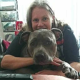 Mowgli is registered to the contest to win money with this photo: canidae, carnivore, chair, comfort, companion_dog, dog, dog_breed, family_car, fawn, fur, guard_dog, puppy, puppy_love, smile, snout, sporting_group, terrestrial_animal, toy_dog, whiskers, working_animal