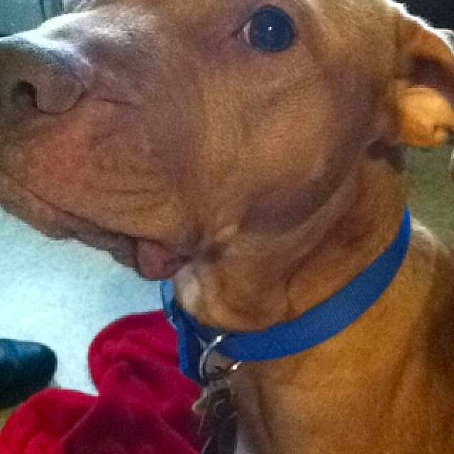 Dan is registered to the contest to win money with this photo: