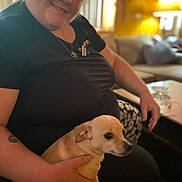 Skippy is registered to the contest to win money with this photo: animal, casual_clothing, companion, couch, cute, dog, furniture, hand, home, indoor, living_room, mammal, person, pet, portrait, relaxed, seated, smiling, table, woman
