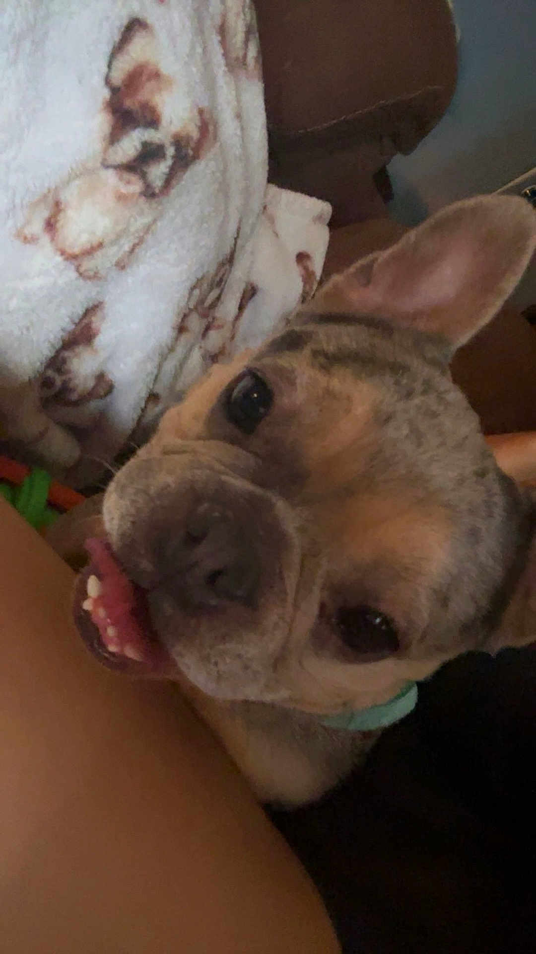 Delilah