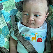 Hunter joined the competition — help win amazing prizes! baby, child, car_seat, seat_belt, infant, clothing, patterned, animal_print, giraffe, elephant, hand, face, expression, looking_away, young, cute, indoor, closeup, sitting, safety