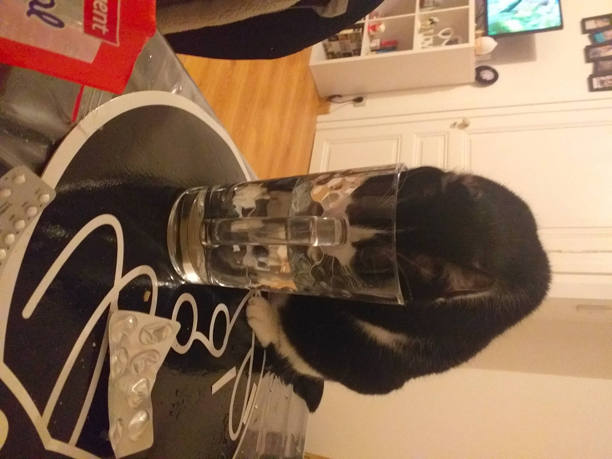 Igloo participe au concours pour gagner de l'argent avec cette photo : athletic_shoe, audio_equipment, automotive_design, automotive_tire, automotive_wheel_system, barware, carmine, font, footwear, home_appliance, human_leg, kitchen_appliance, leg, machine, outdoor_shoe, personal_protective_equipment, room, sports_gear, walking_shoe, wood