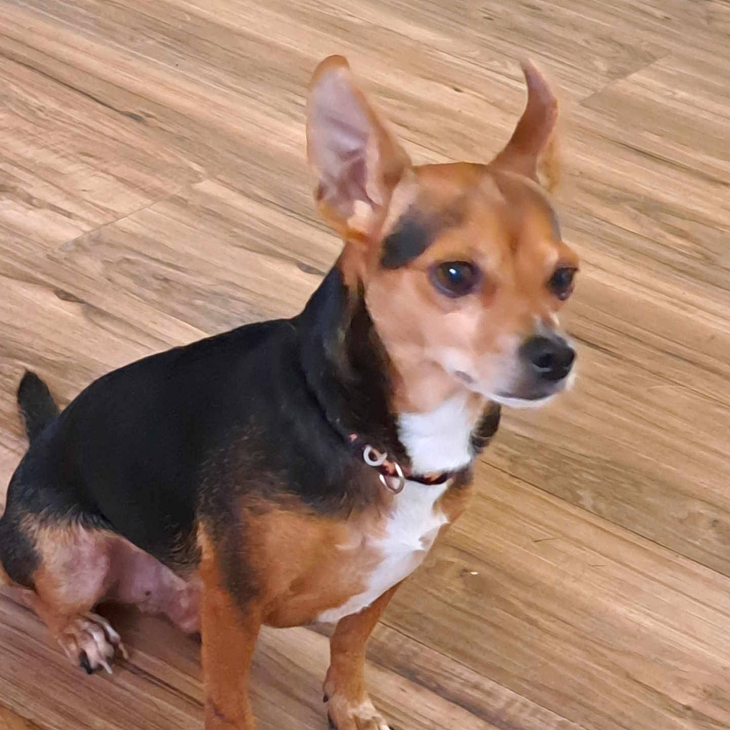 Max