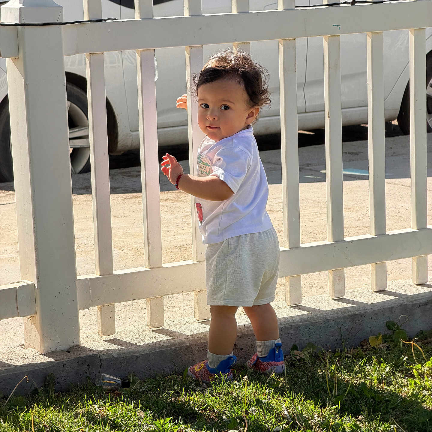 Thiago joined the competition — help win amazing prizes! toddler, child, white_picket_fence, grass, sunlight, outdoor, car, curious, shorts, tshirt, socks, shoes, side_view, standing, daytime, shadow, nature, portrait, playful, young_child