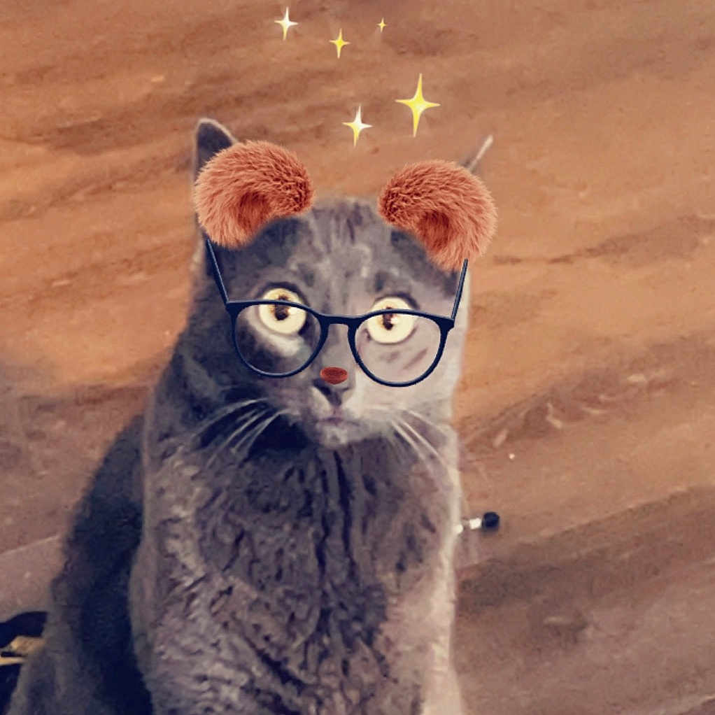 Frankie