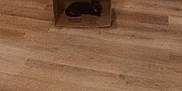Morticia is registered to the contest to win money with this photo: animal, black_cat, cardboard_box, cat, cozy, curled_up, dim_light, empty_boxes, feline, floor, home, indoor, pet, quiet, resting, room, shelving, stacked_boxes, storage, wooden_floor