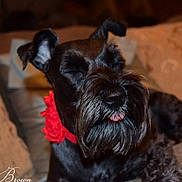 Sadie is registered to the contest to win money with this photo: