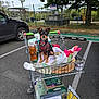 dog, shopping_cart, pet_supplies, parking_lot, car, outdoor, tree, grass, bag, bottle, can, fence, leash, towel, pavement, sky, small_dog, harness, pet_food, container