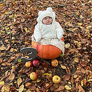 Adaline participe au concours pour gagner de l'argent avec cette photo : baby, pumpkin, autumn_leaves, apples, number_three, outdoor, fall, seasonal, cute, child, hat, white_clothing, nature, leaf_litter, sitting, portrait, milestone, season, holiday, cozy