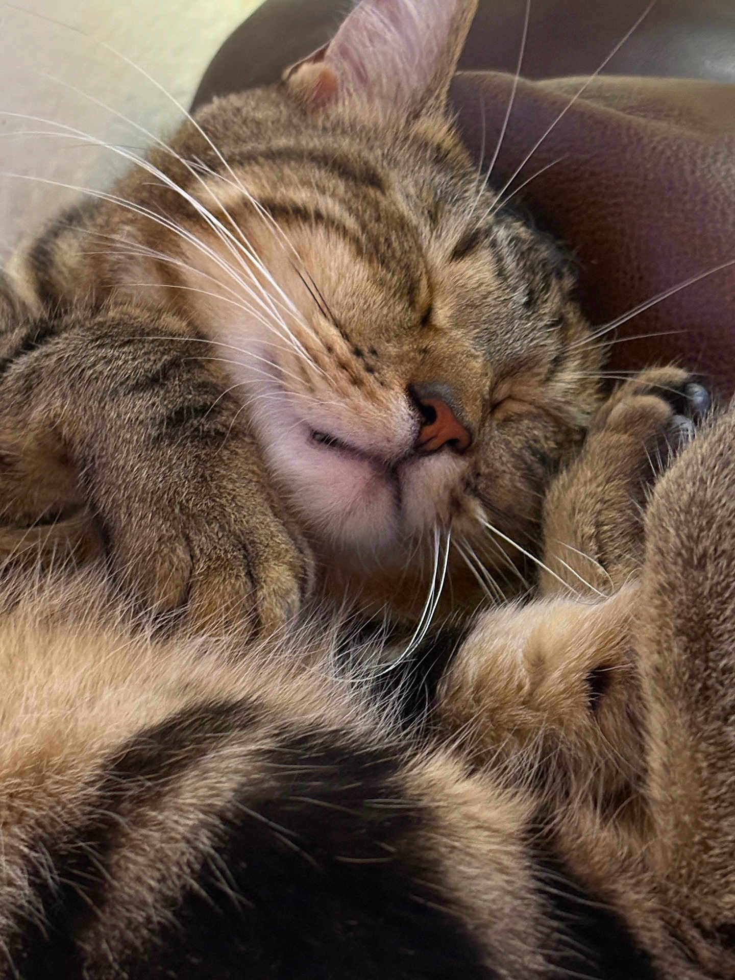 Jasper