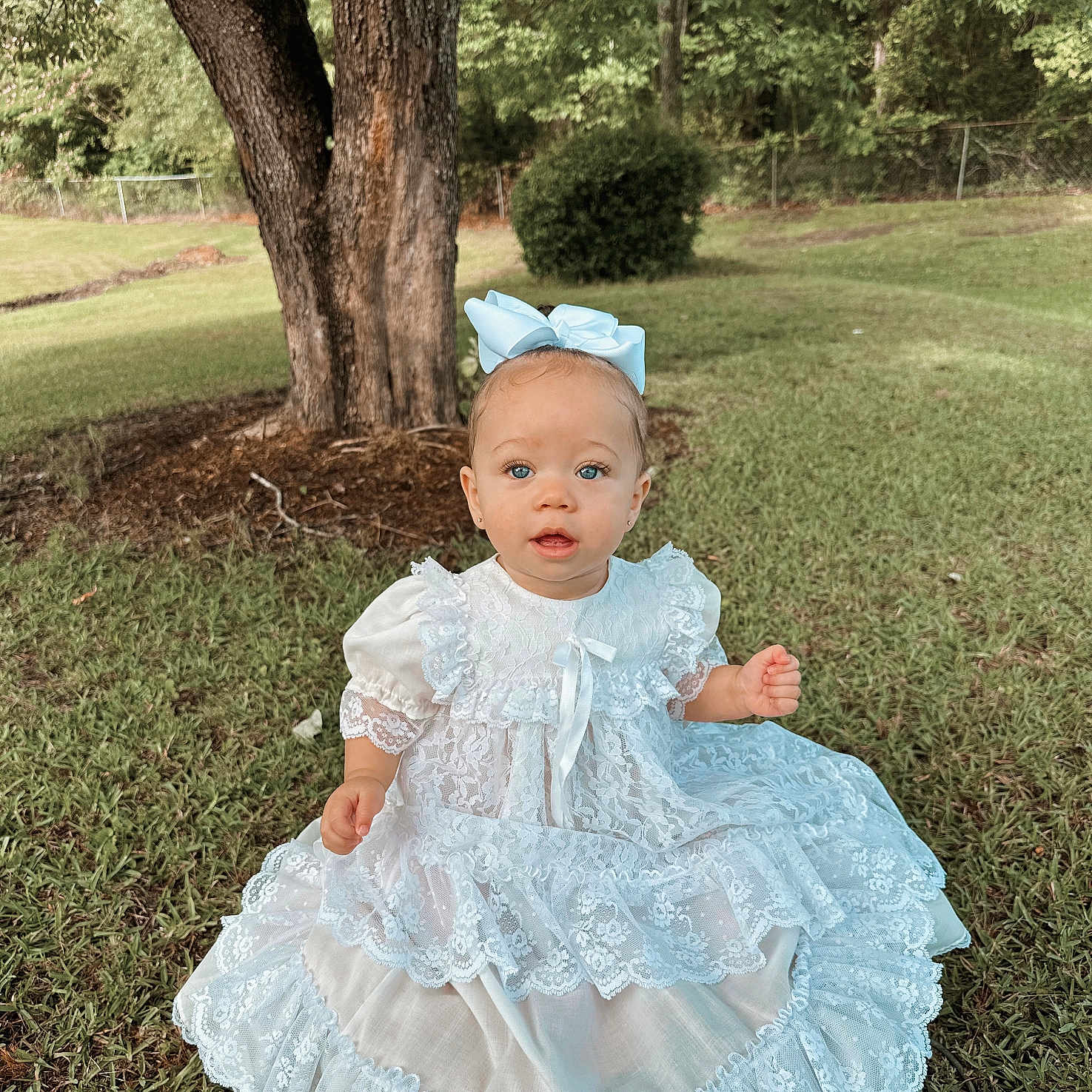 Lainey joined the competition — help win amazing prizes! baby, blue_eyes, bow, child, cute, daylight, dress, fashion, grass, greenery, innocence, lace, nature, outdoor, person, portrait, sitting, summer, tree, young