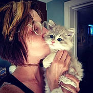 Paxton is registered to the contest to win money with this photo: person, kitten, cat, indoor, glasses, short_hair, holding, affection, cute, furry, pet, love, closeup, face, hand, young_adult, casual, choker, blue_eyes, home