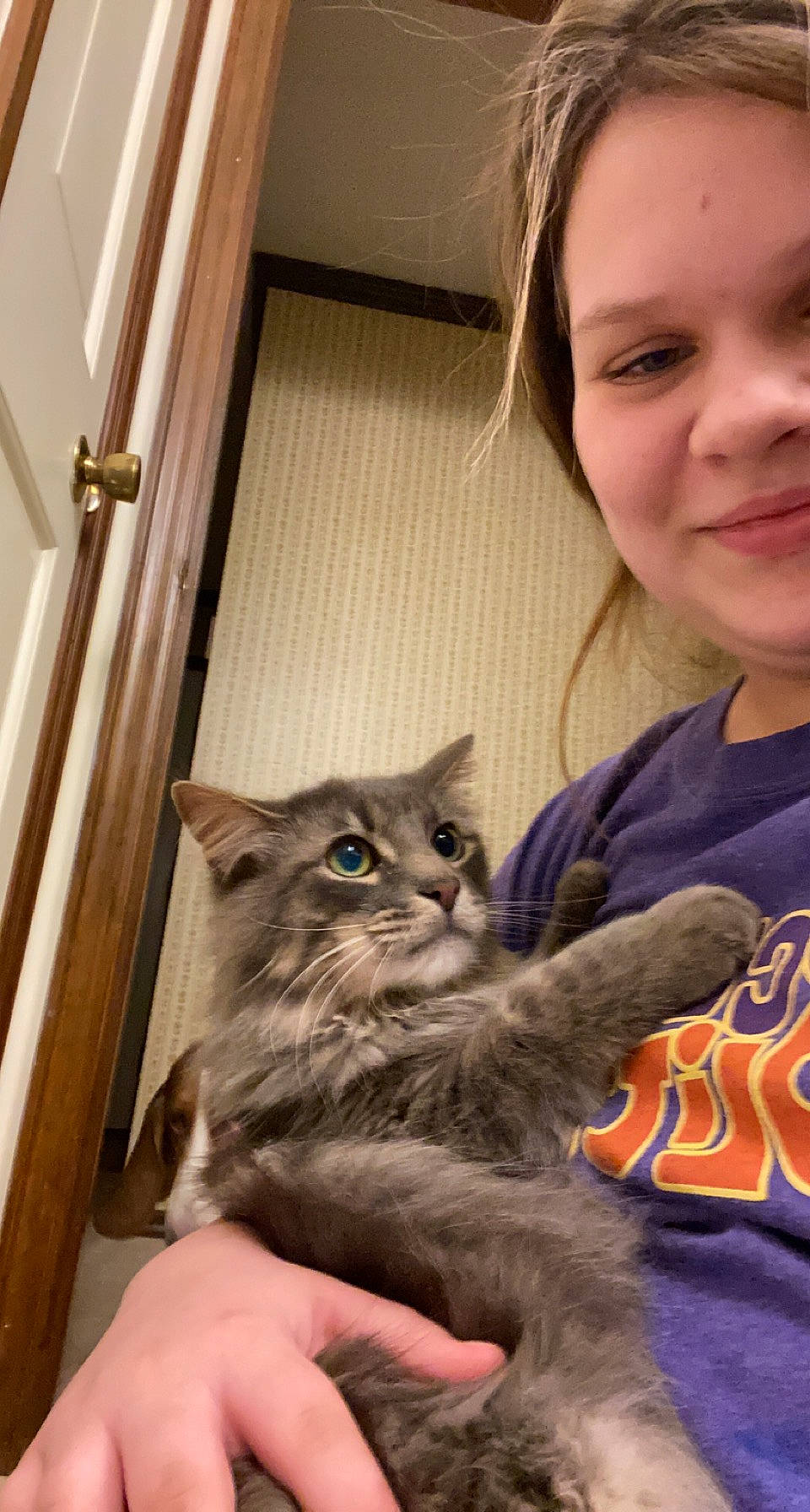 Edwin is registered to the contest to win money with this photo: carnivore, cat, child, domestic_short_haired_cat, door, ear, eye, fawn, felidae, fur, gesture, hand, iris, shelf, skin, small_to_medium_sized_cats, smile, t_shirt, whiskers, wood