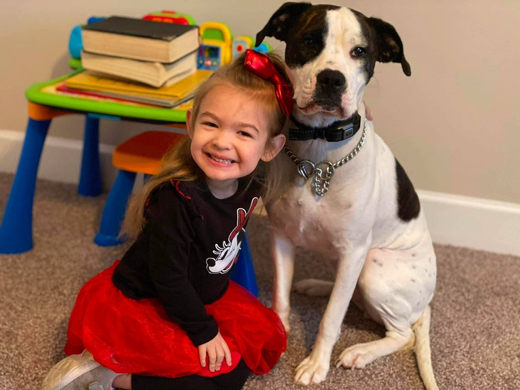 Jewell is registered to the contest to win money with this photo: canidae, carnivore, child, collar, companion_dog, dog, dog_breed, dog_collar, dog_supply, fawn, great_dane, guard_dog, happy, joy, leash, person, pet_supply, smile, snout, sporting_group