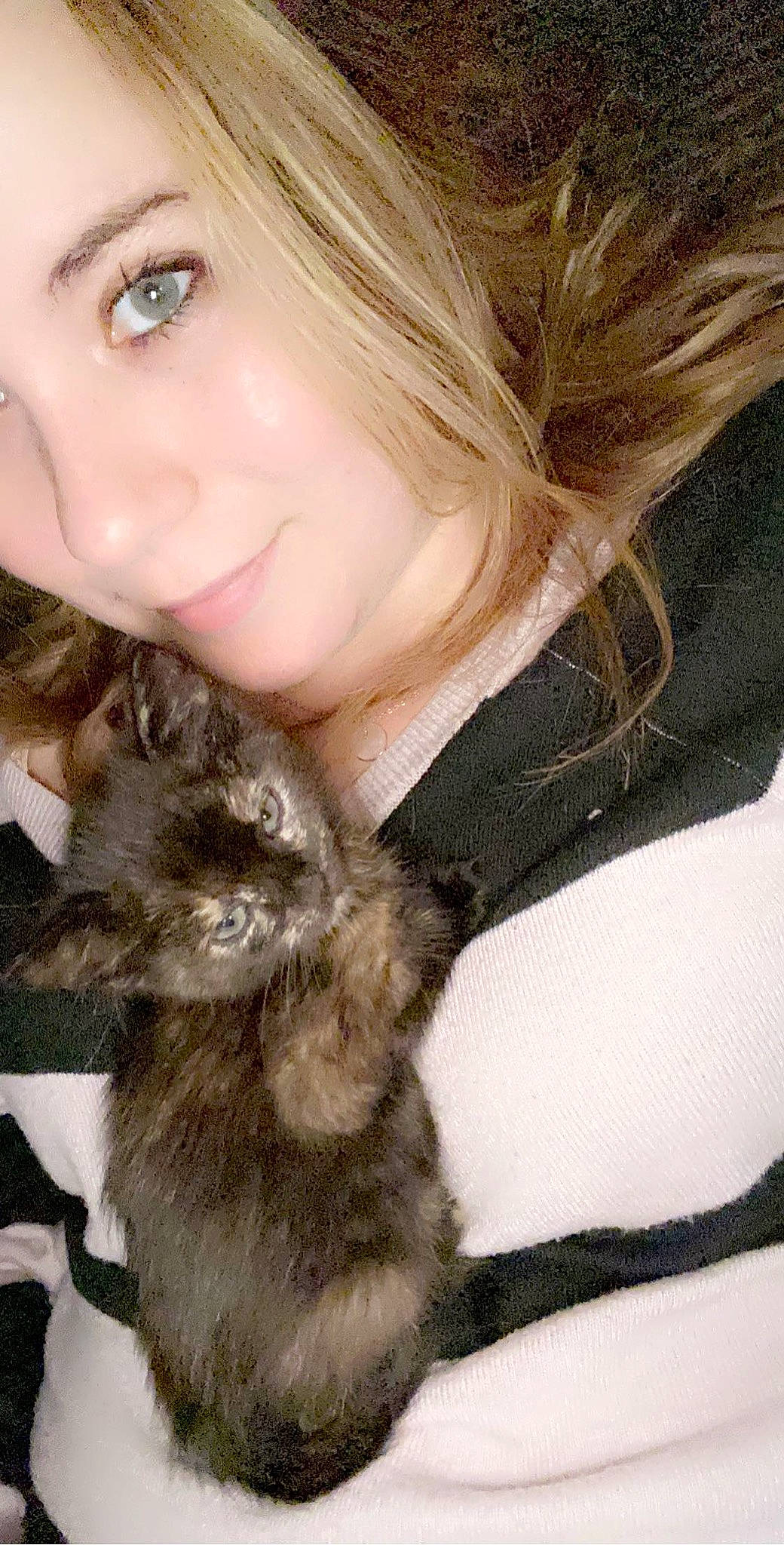 Peanut joined the competition — help win amazing prizes! brown_hair, carnivore, cat, ear, eyelash, fawn, felidae, gesture, hair, iris, layered_hair, lip, long_hair, selfie, skin, small_to_medium_sized_cats, smile, snout, step_cutting, whiskers