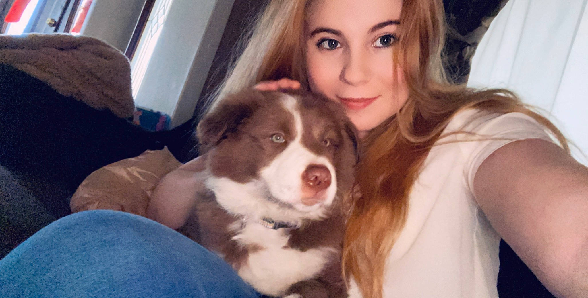 Blair is registered to the contest to win money with this photo: australian_shepherd, border_collie, canidae, carnivore, companion_dog, dog, dog_breed, drentse_patrijshond, mammal, miniature_australian_shepherd, puppy, puppy_love, sporting_group, vertebrate